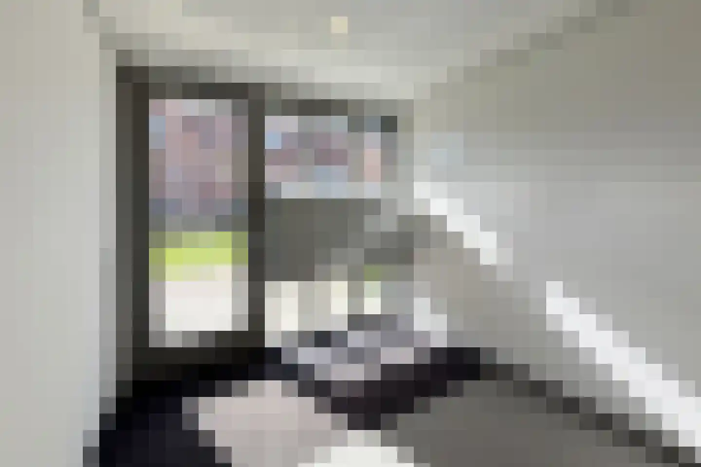Ebbenhout 40 C Waddinxveen thumbnail 5
