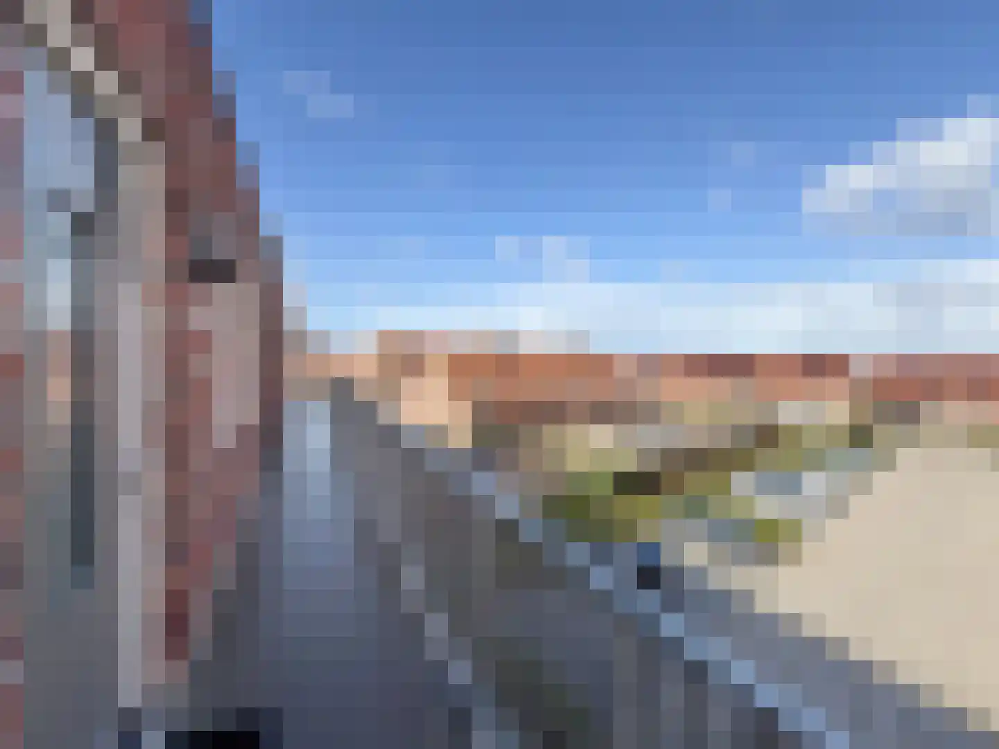 Ebbenhout 40 C Waddinxveen thumbnail 6