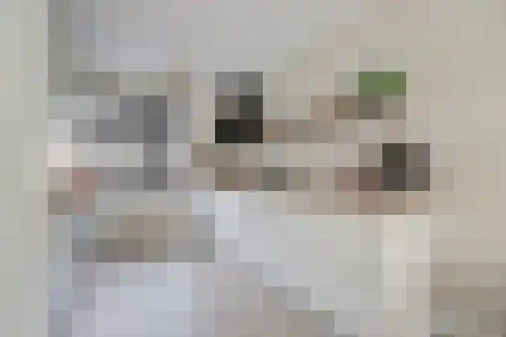 Ebbenhout 7 Waddinxveen thumbnail 13