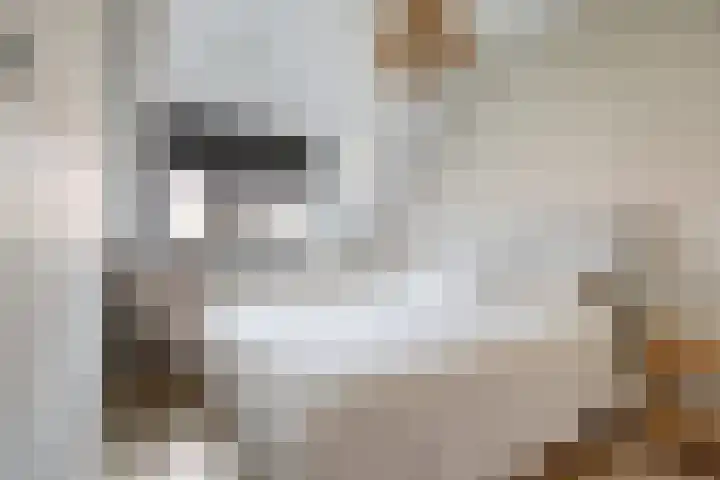 Ebbenhout 7 Waddinxveen thumbnail 18