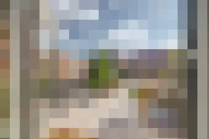 Ebbenhout 7 Waddinxveen thumbnail 26