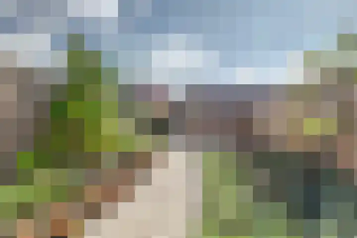 Ebbenhout 7 Waddinxveen thumbnail 28