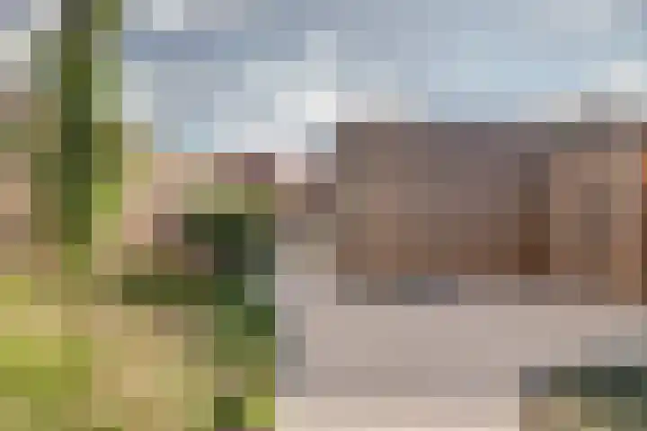 Ebbenhout 7 Waddinxveen thumbnail 29