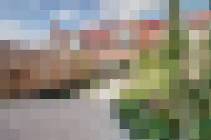 Ebbenhout 7 Waddinxveen thumbnail 30
