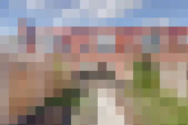 Ebbenhout 7 Waddinxveen thumbnail 31