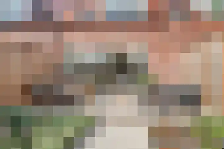Ebbenhout 7 Waddinxveen thumbnail 32