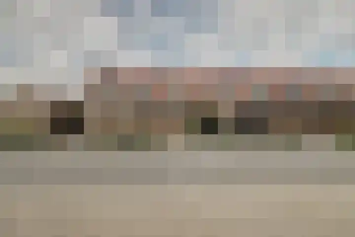 Ebbenhout 7 Waddinxveen thumbnail 33