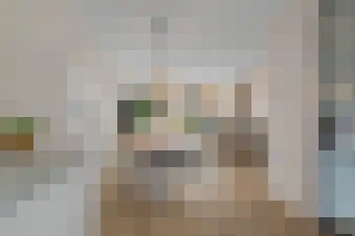 Ebbenhout 92 Waddinxveen thumbnail 11