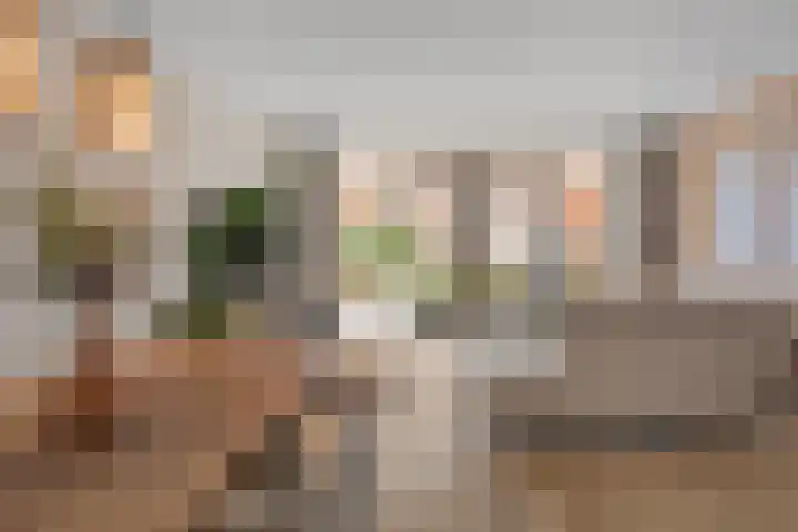 Ebbenhout 92 Waddinxveen thumbnail 12