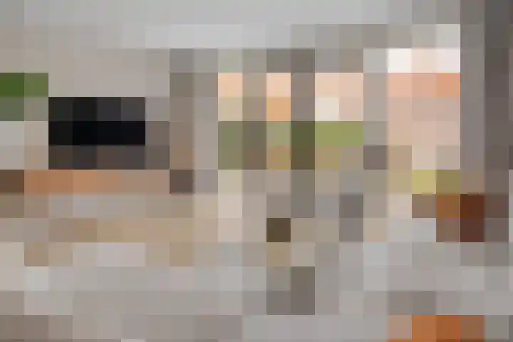 Ebbenhout 92 Waddinxveen thumbnail 13