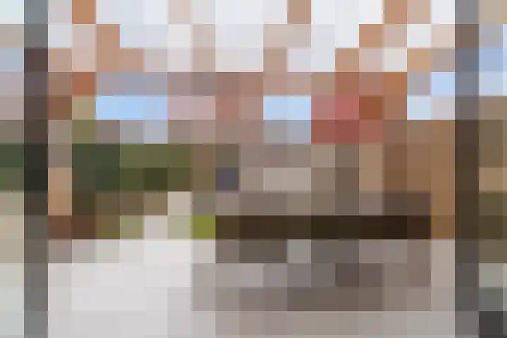 Ebbenhout 92 Waddinxveen thumbnail 14