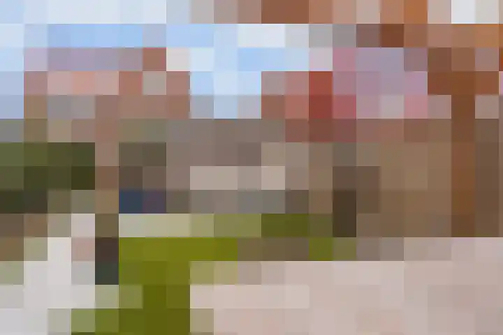 Ebbenhout 92 Waddinxveen thumbnail 15