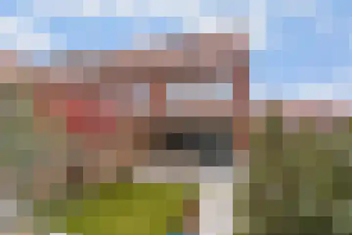 Ebbenhout 92 Waddinxveen thumbnail 17
