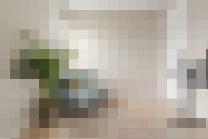 Ebbenhout 92 Waddinxveen thumbnail 28