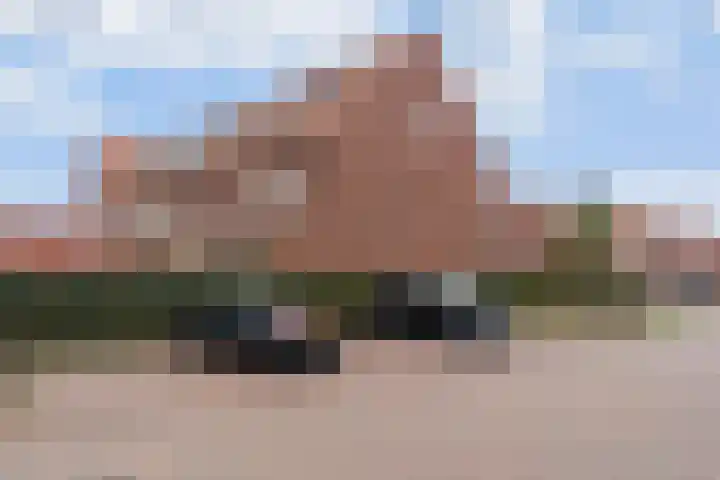 Ebbenhout 92 Waddinxveen thumbnail 33