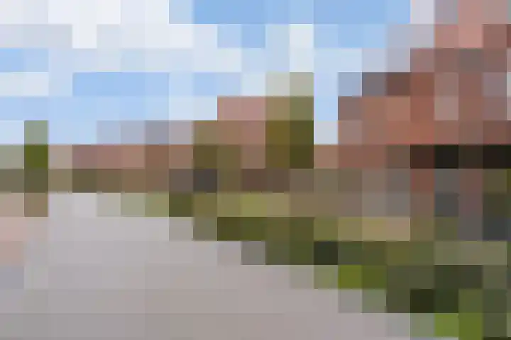 Ebbenhout 92 Waddinxveen thumbnail 34