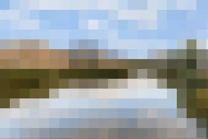 Ebbenhout 92 Waddinxveen thumbnail 35