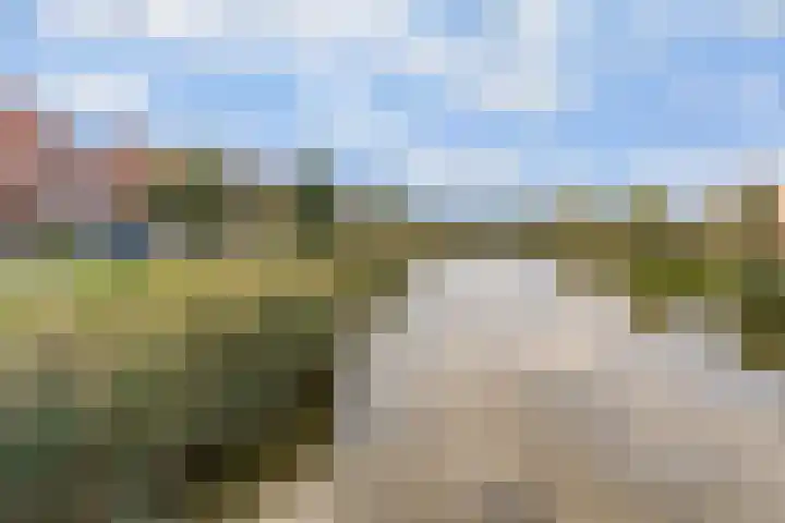 Ebbenhout 92 Waddinxveen thumbnail 36