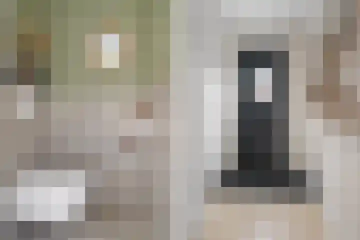 Ebbenhout 92 Waddinxveen thumbnail 4