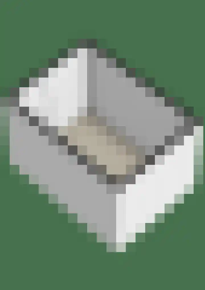 Ebbenhout 92 Waddinxveen thumbnail 47