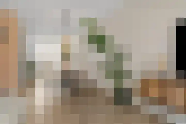 Ebbenhout 92 Waddinxveen thumbnail 5