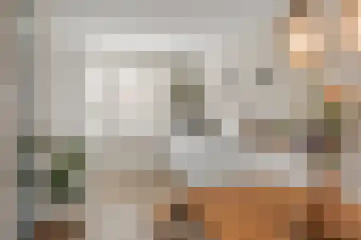 Ebbenhout 92 Waddinxveen thumbnail 7