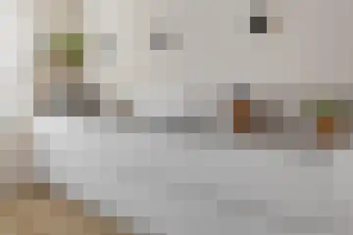 Ebbenhout 92 Waddinxveen thumbnail 8