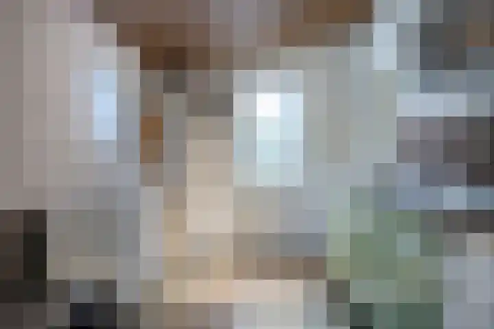 Ebberstraat 4 Velden thumbnail 22
