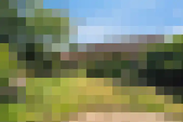 Ebberstraat 4 Velden thumbnail 27