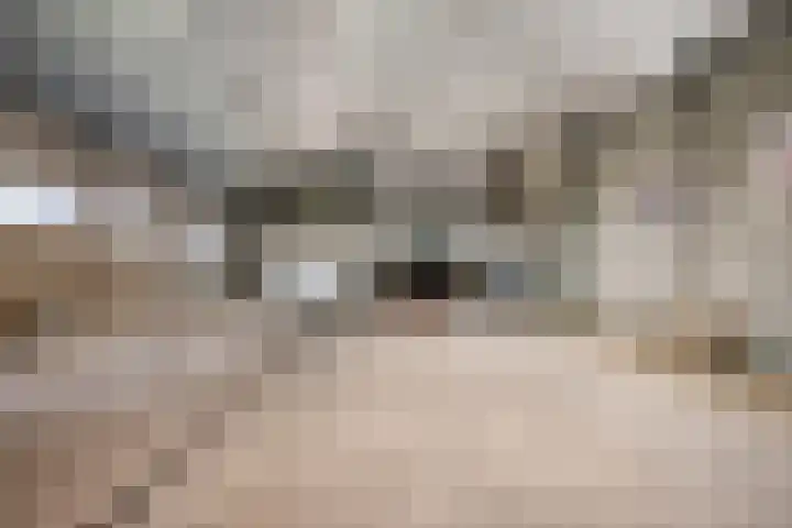 Ebberstraat 4 Velden thumbnail 38