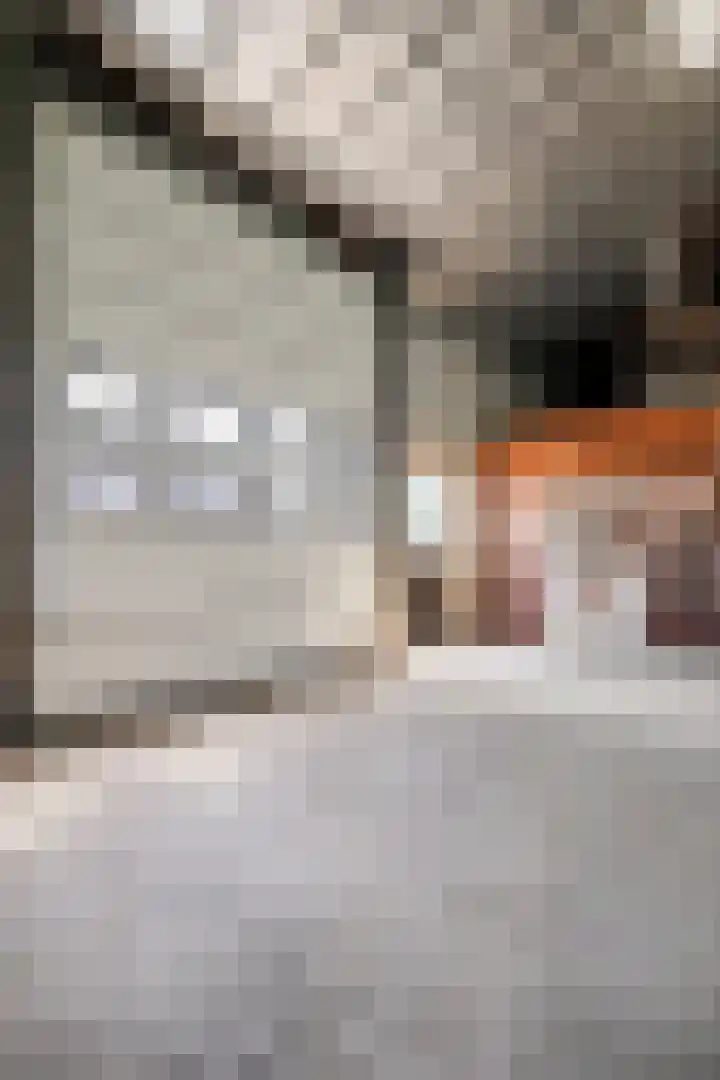 Ebberstraat 4 Velden thumbnail 40