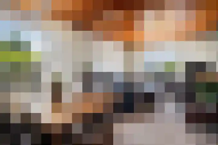 Ebberstraat 4 Velden thumbnail 9