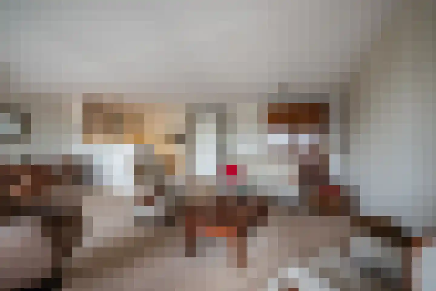 Ebbinge Wubbenlaan 1 a5 Staphorst thumbnail 14