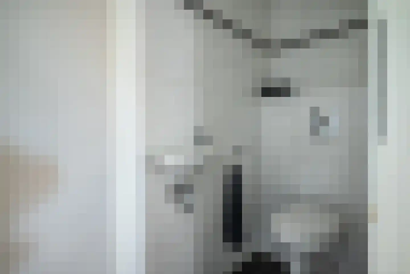 Ebbinge Wubbenlaan 1 a5 Staphorst thumbnail 22
