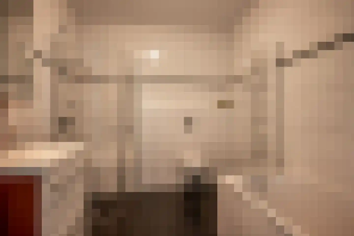 Ebbinge Wubbenlaan 1 a5 Staphorst thumbnail 24