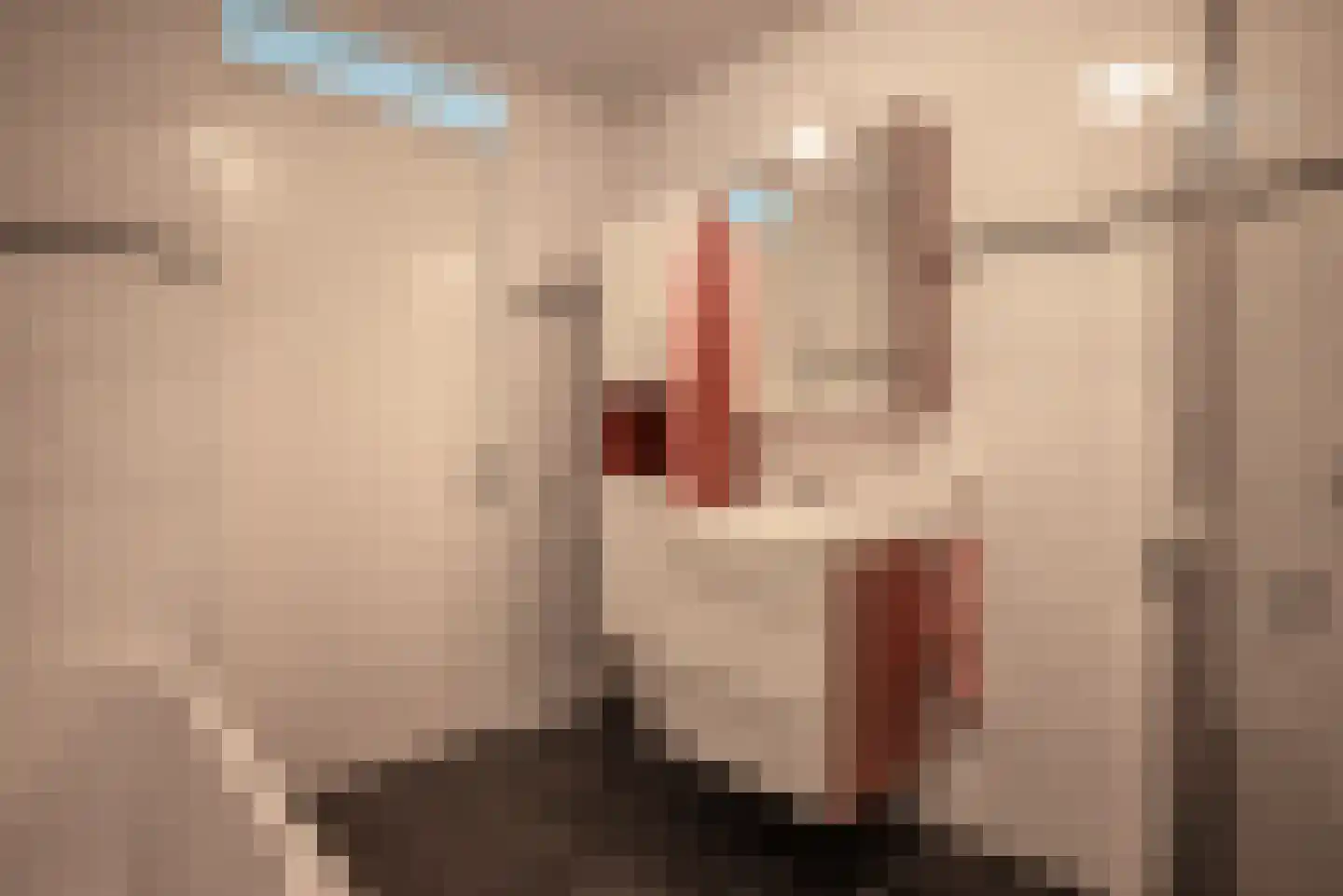Ebbinge Wubbenlaan 1 a5 Staphorst thumbnail 25