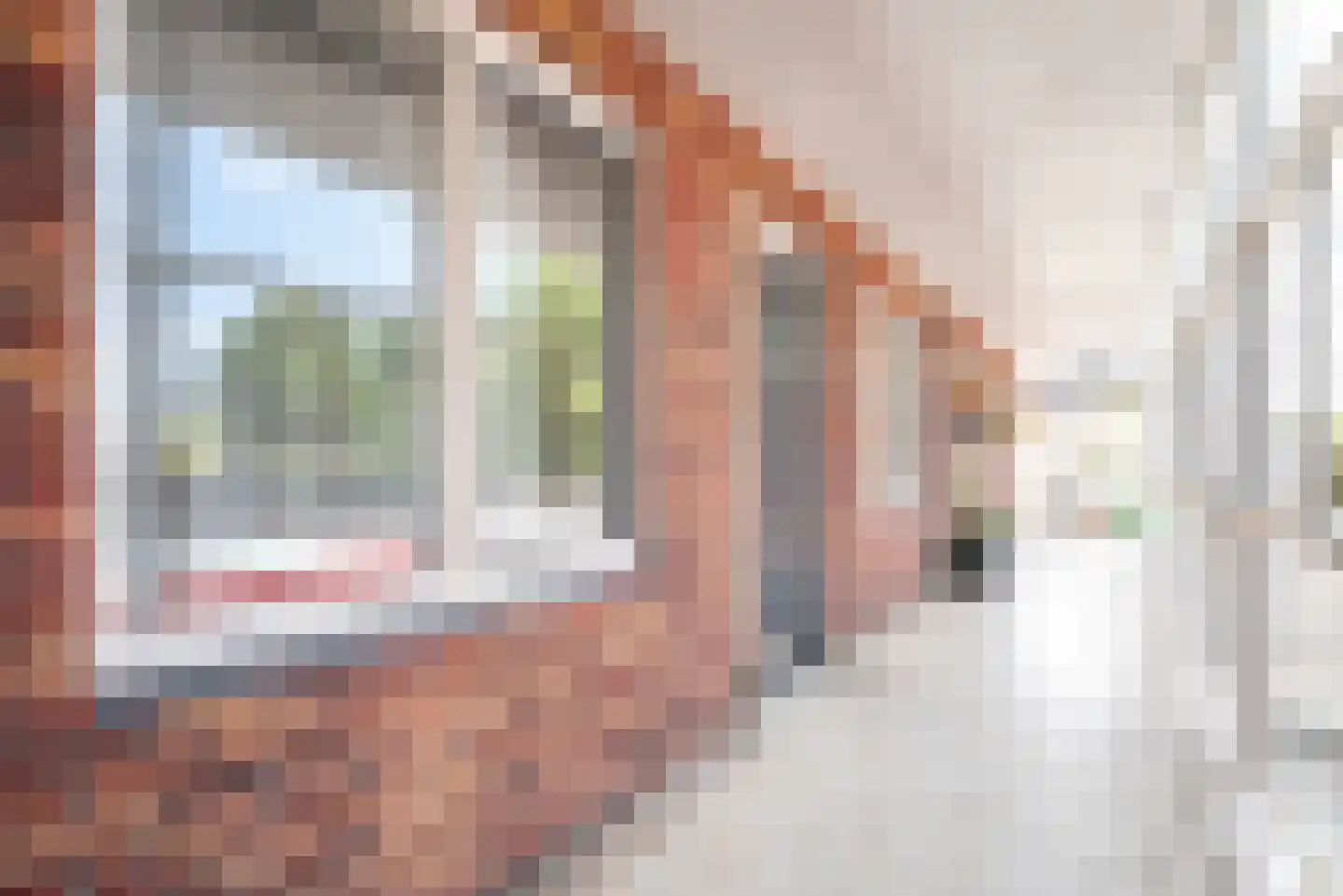 Ebbinge Wubbenlaan 1 a5 Staphorst thumbnail 30