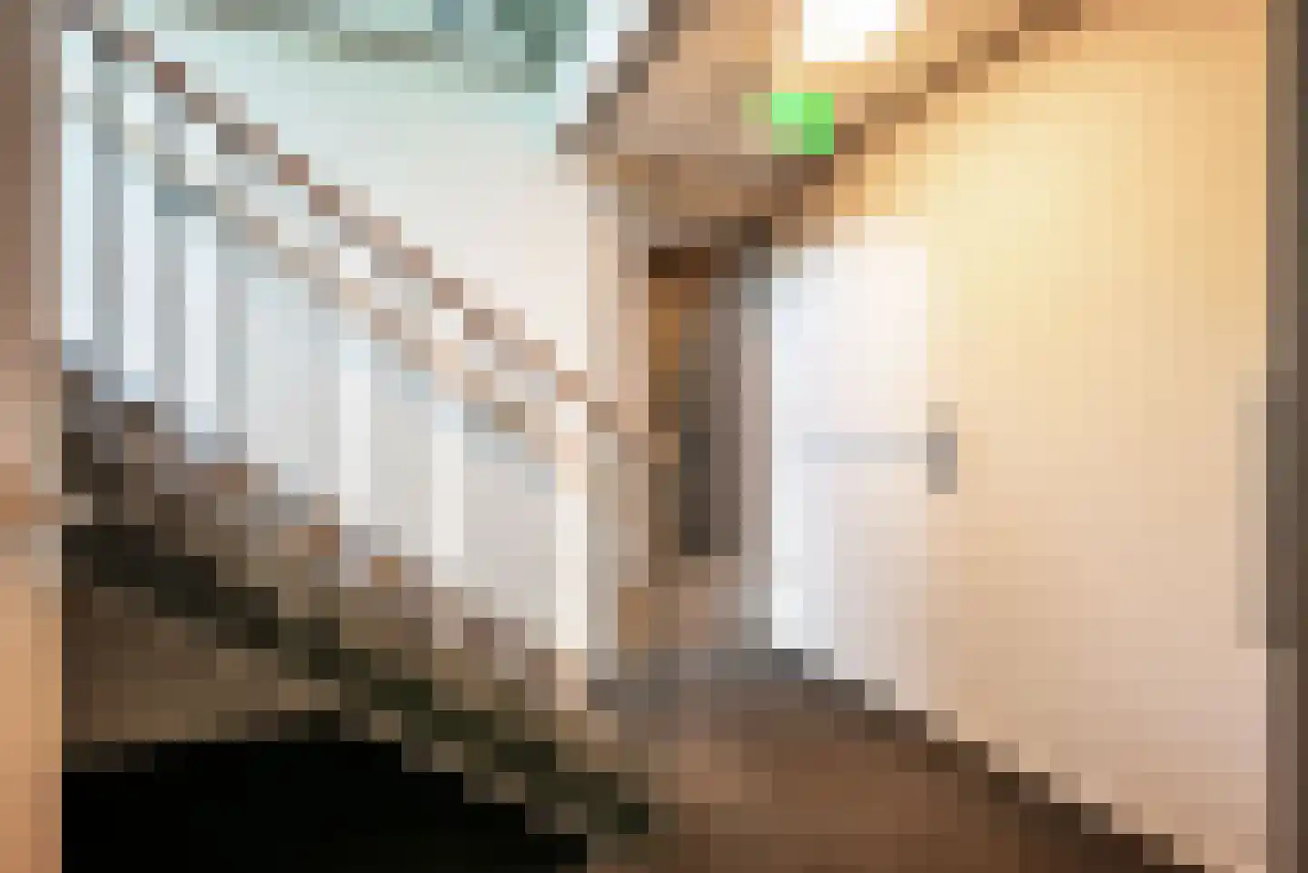Ebbinge Wubbenlaan 1 a5 Staphorst thumbnail 32