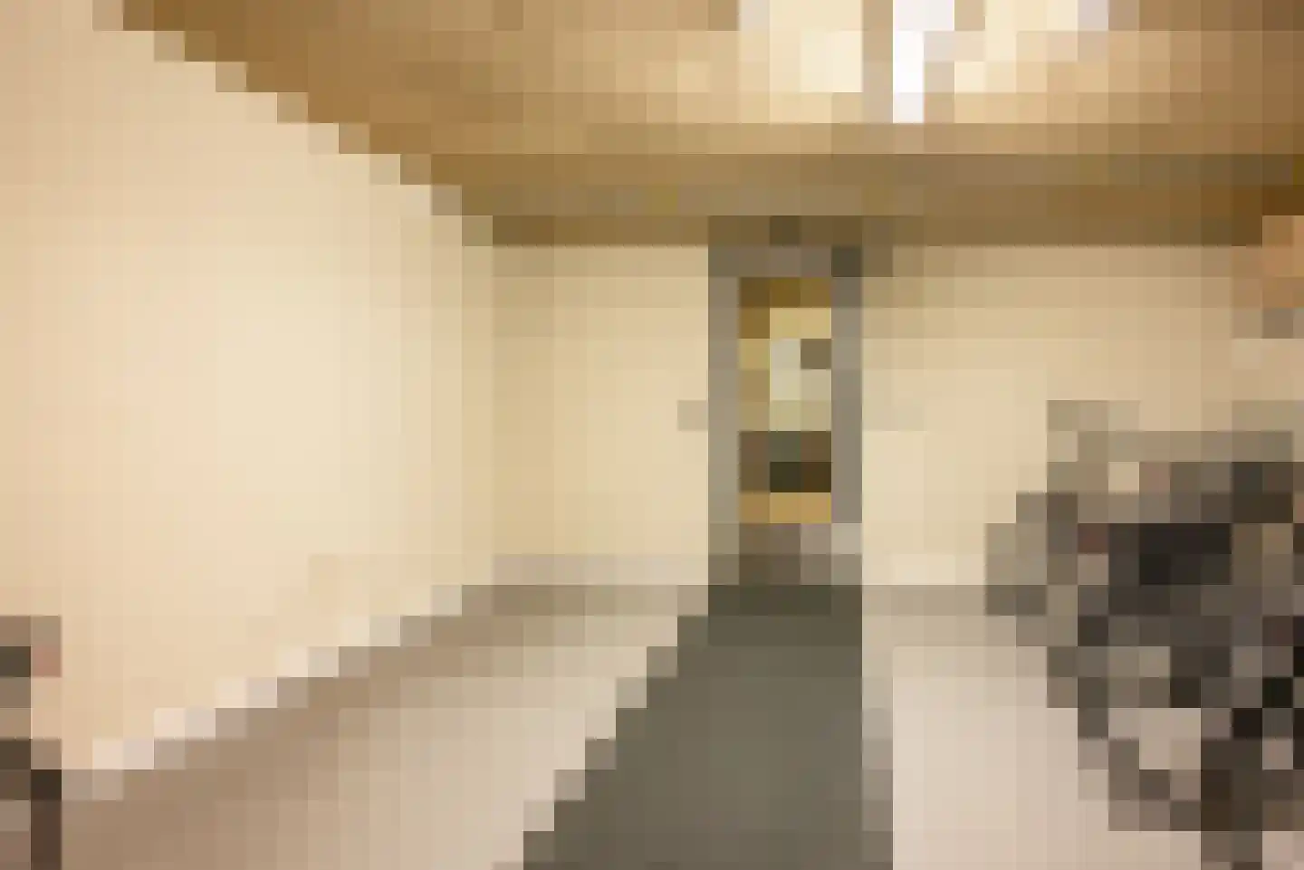 Ebbinge Wubbenlaan 1 a5 Staphorst thumbnail 35