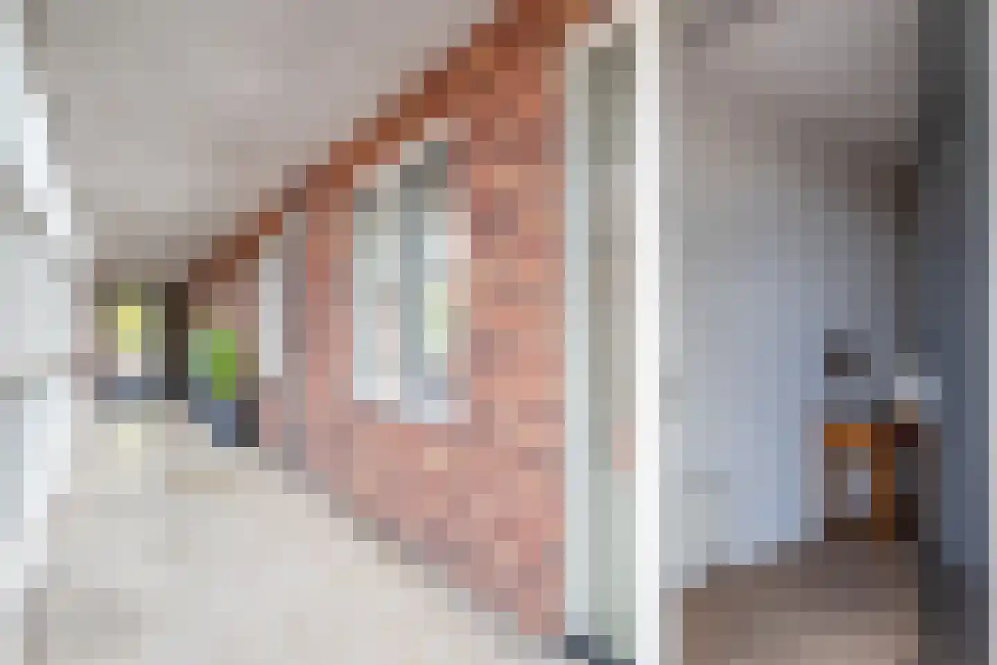 Ebbinge Wubbenlaan 1 a5 Staphorst thumbnail 6