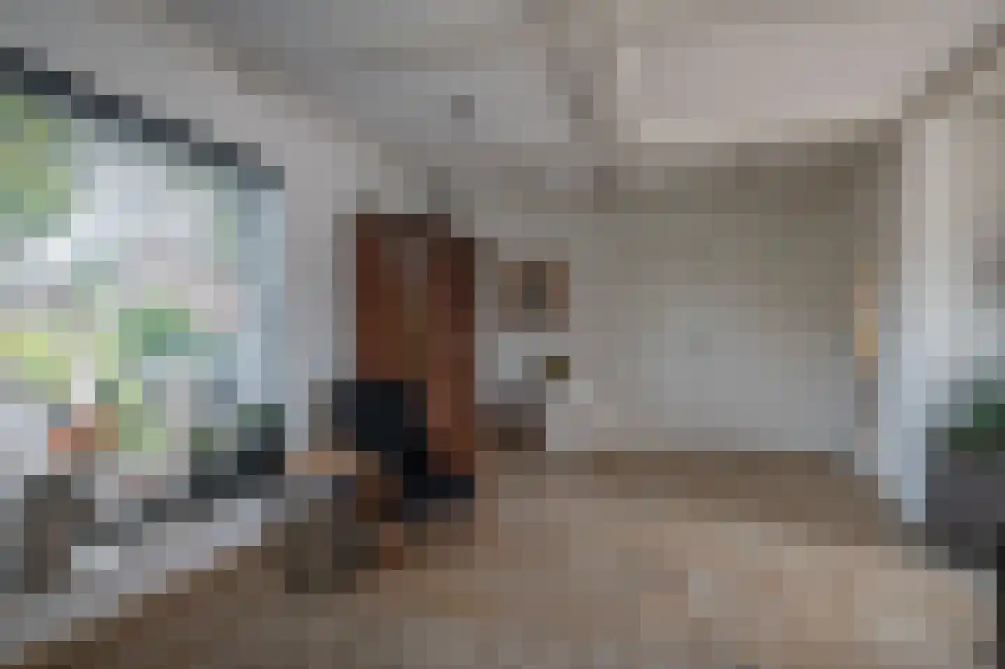 Ebbinge Wubbenlaan 11 Staphorst thumbnail 11