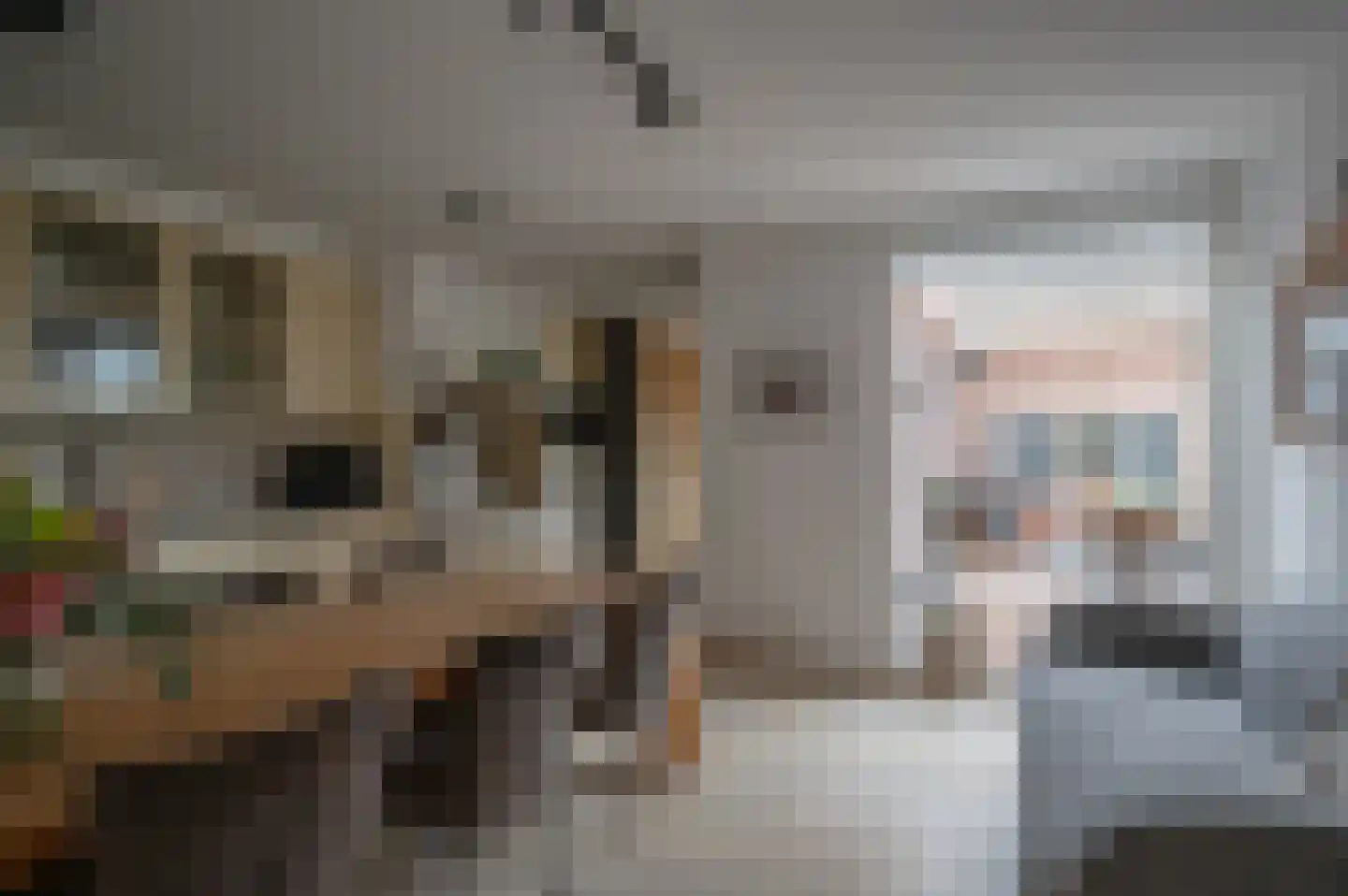 Ebbinge Wubbenlaan 11 Staphorst thumbnail 12