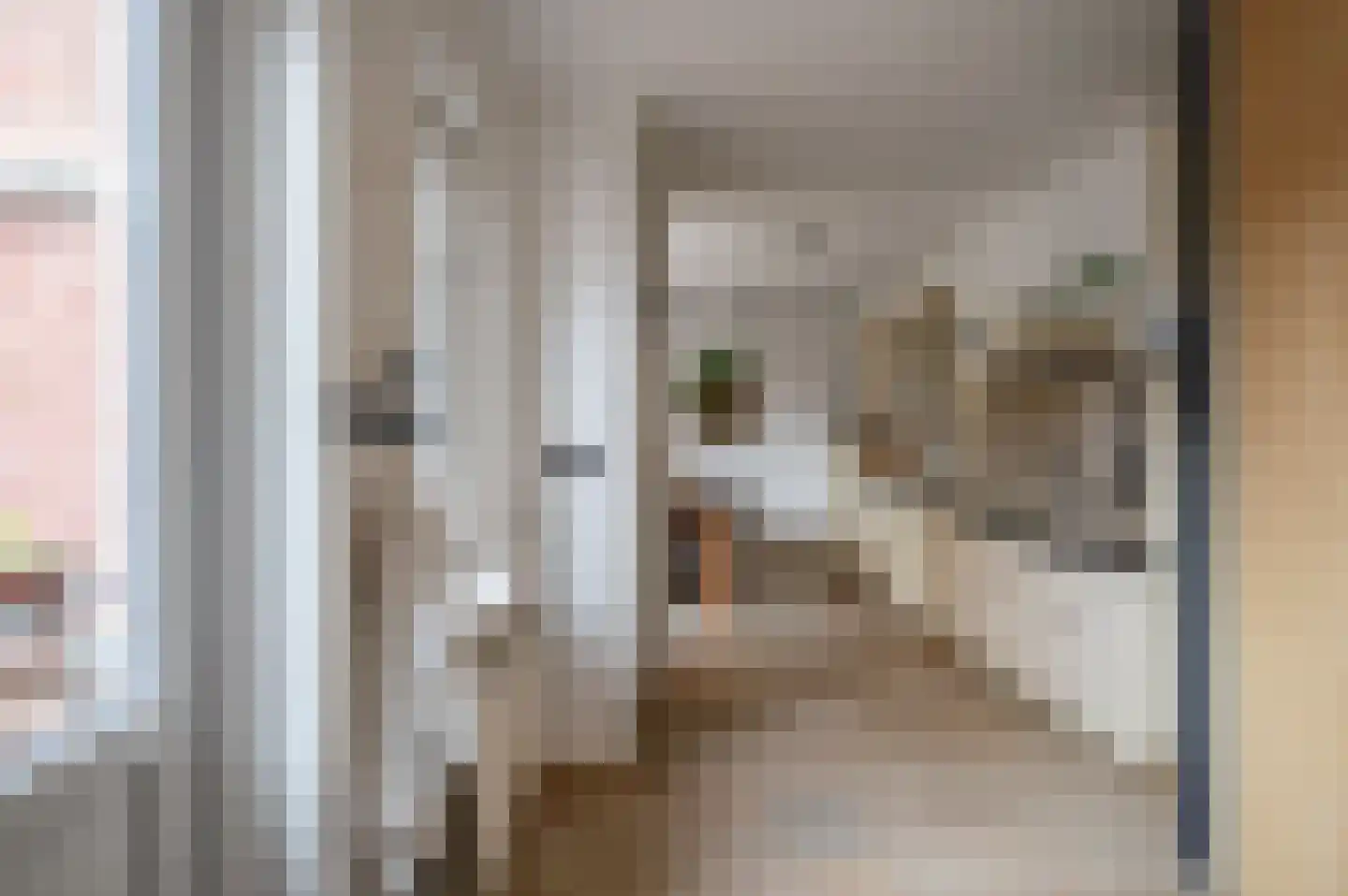 Ebbinge Wubbenlaan 11 Staphorst thumbnail 15
