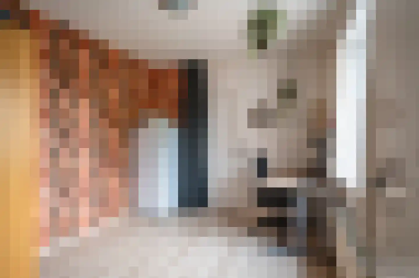 Ebbinge Wubbenlaan 11 Staphorst thumbnail 18