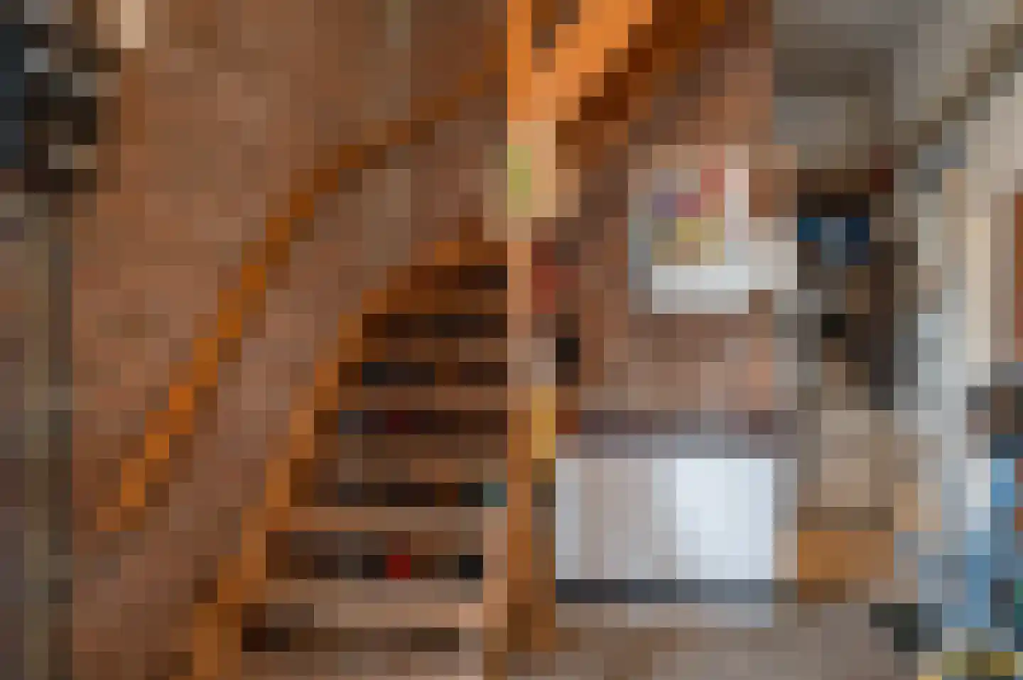 Ebbinge Wubbenlaan 11 Staphorst thumbnail 22