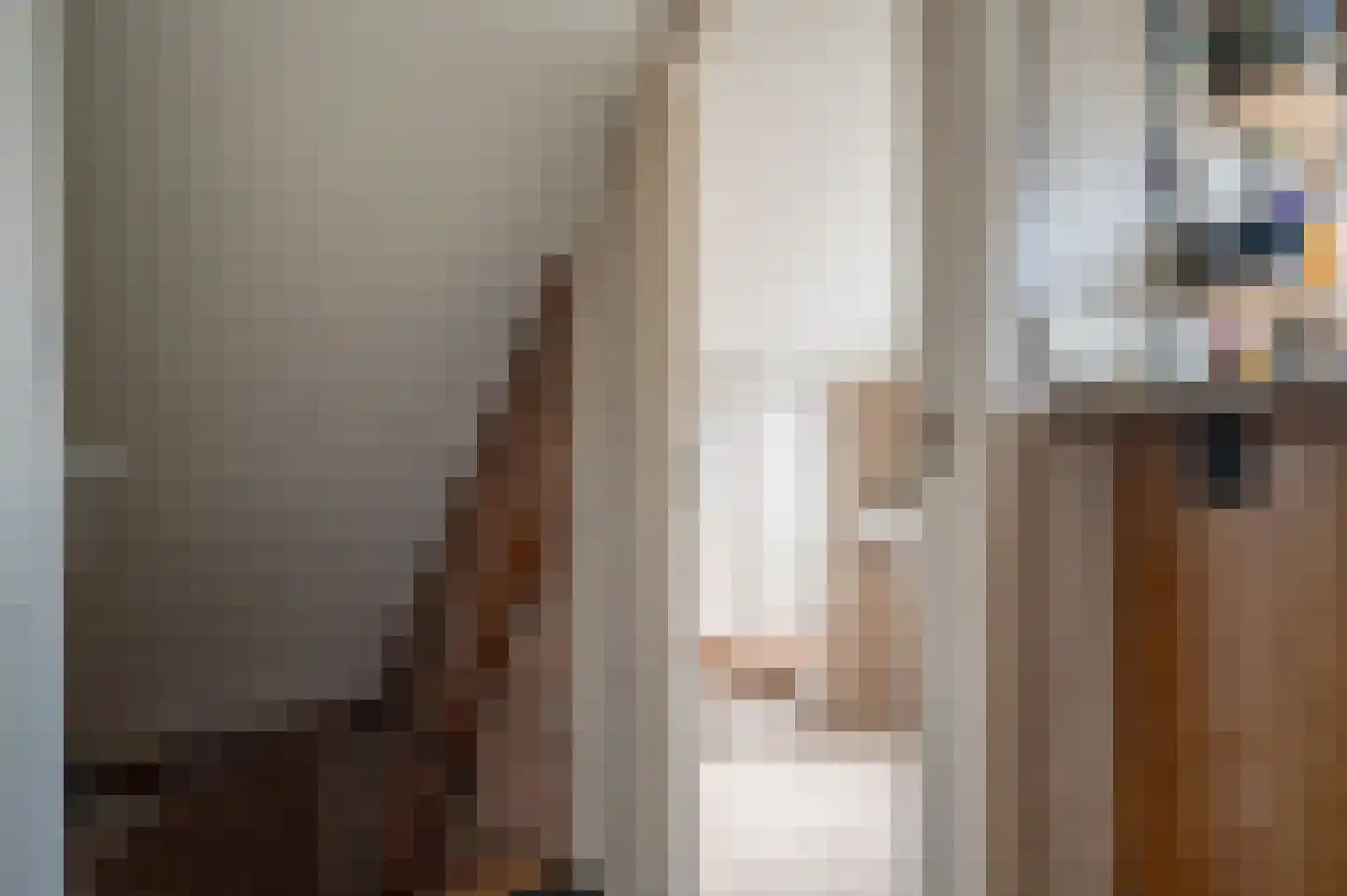 Ebbinge Wubbenlaan 11 Staphorst thumbnail 23