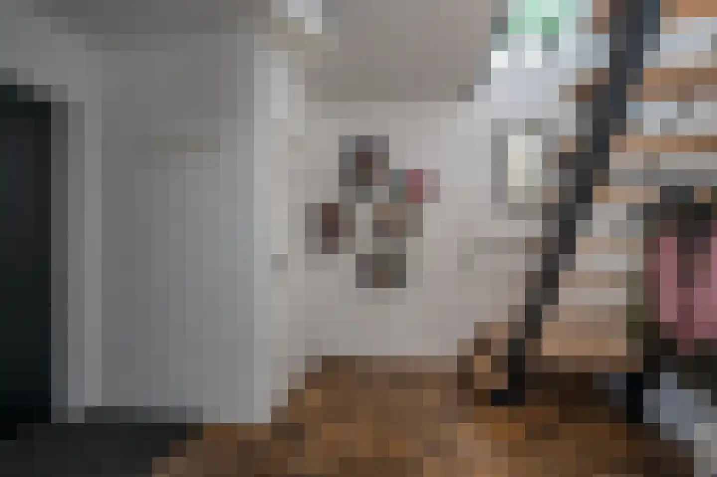 Ebbinge Wubbenlaan 11 Staphorst thumbnail 28