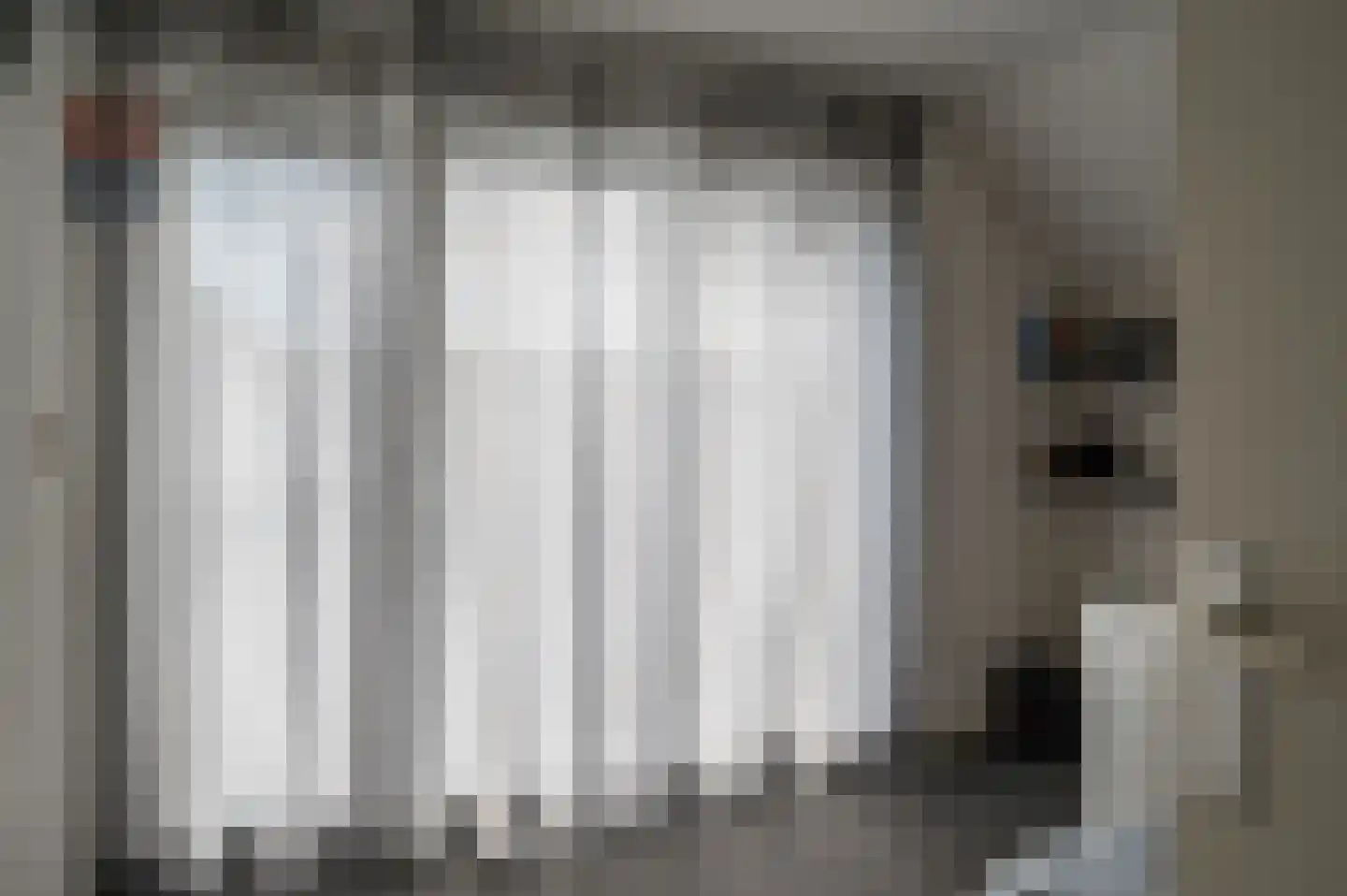 Ebbinge Wubbenlaan 11 Staphorst thumbnail 30