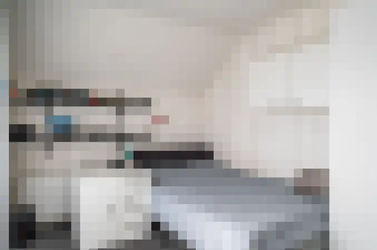 Ebbinge Wubbenlaan 11 Staphorst thumbnail 31