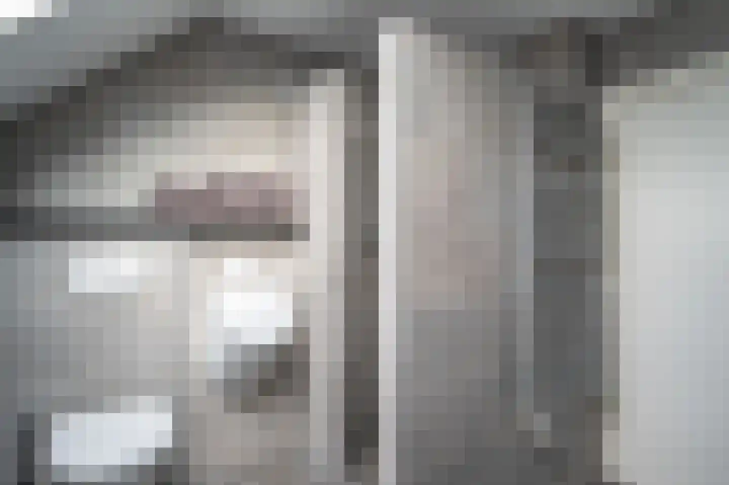 Ebbinge Wubbenlaan 11 Staphorst thumbnail 33